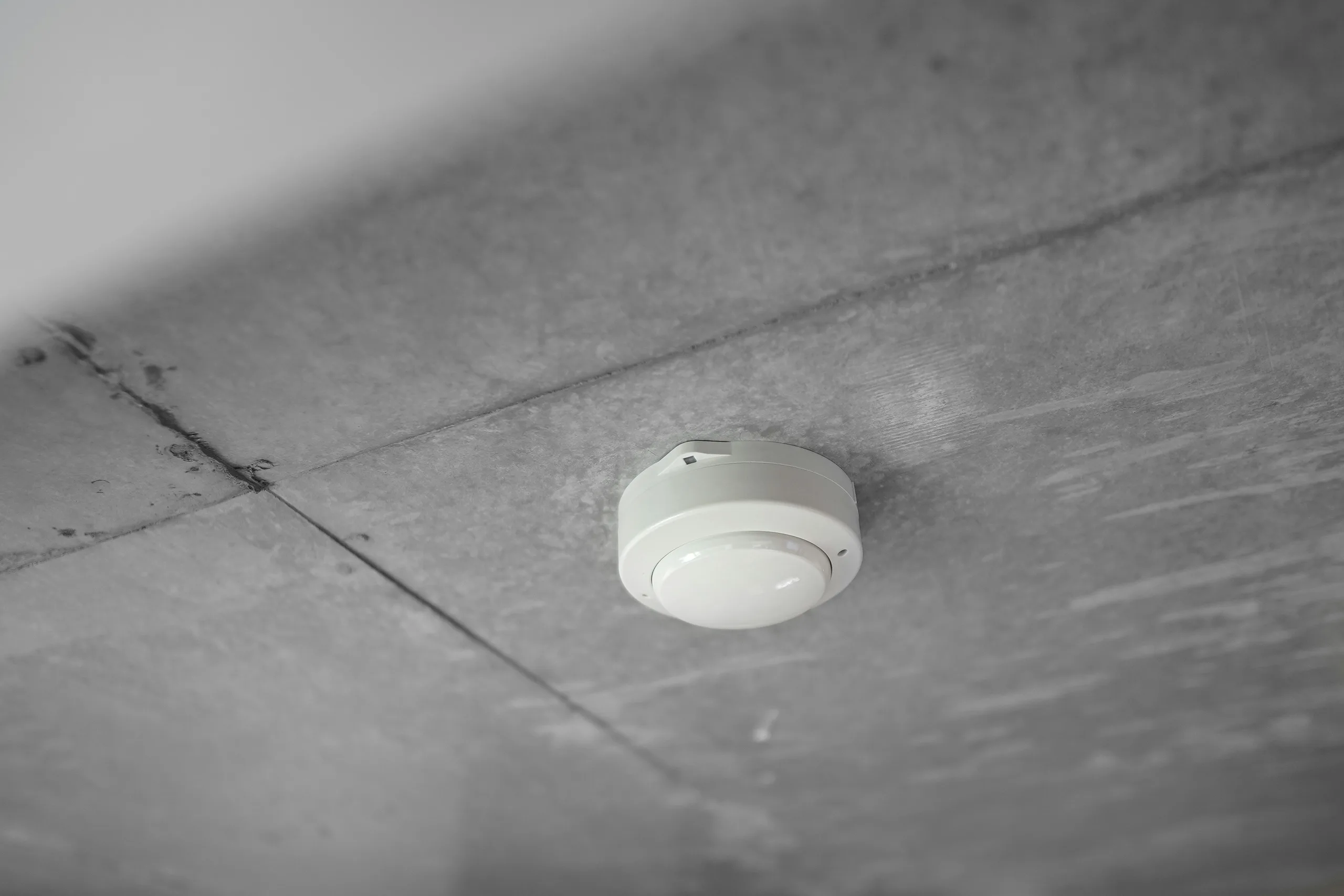 Alarme / Vidéosurveillance